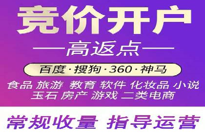 初学者的百度竞价推广：成功案例揭秘